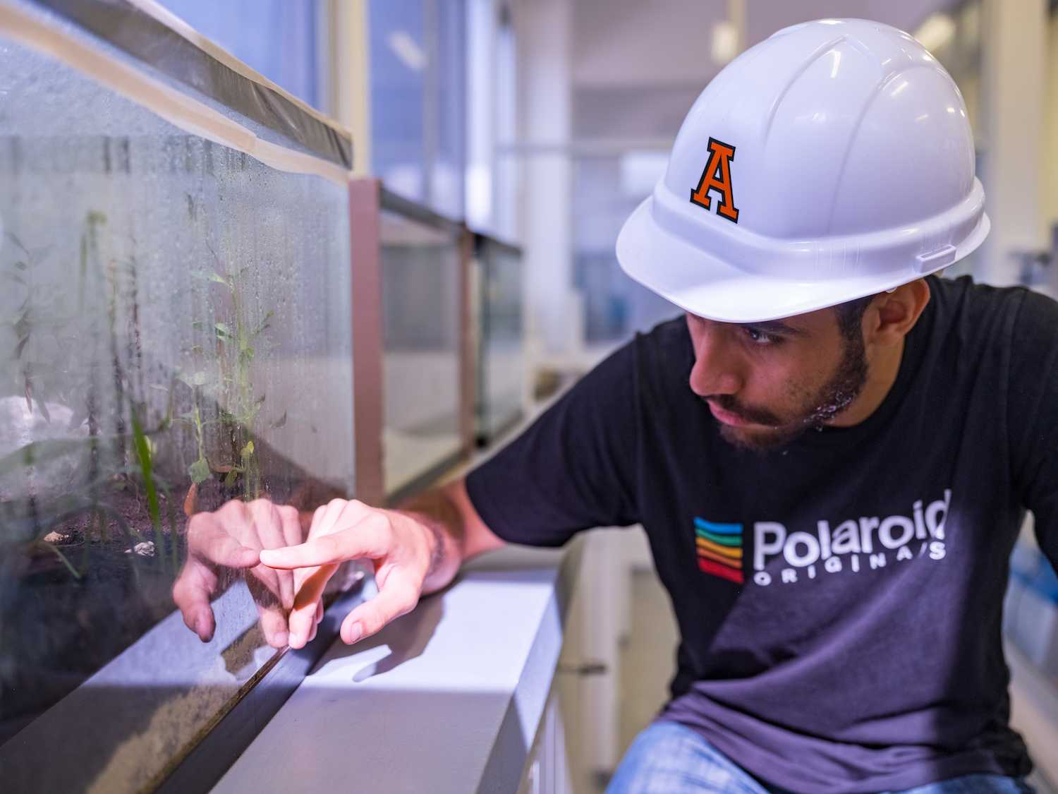 Estudiante con casco blanco observa con atención el interior de un terrario húmedo con plantas, tocando el vidrio con los dedos.